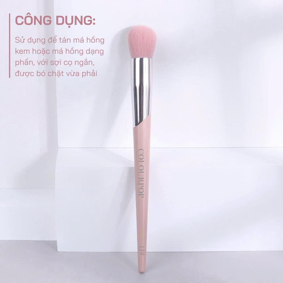 Cọ Má Hồng Kem Và Highlight Bắt Sáng COLOURPOP Blush Brush C119